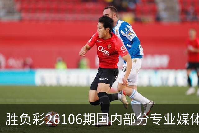 胜负彩26106期国内部分专业媒体复式推荐总汇